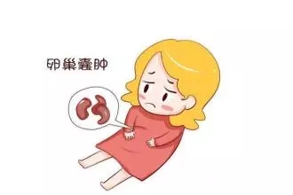 n1.webp.jpg