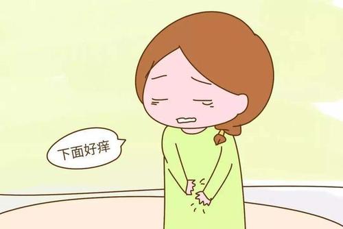 下载.jpg