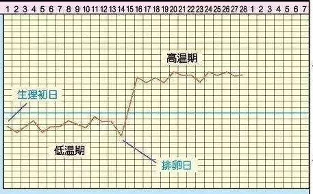 b3.jpg