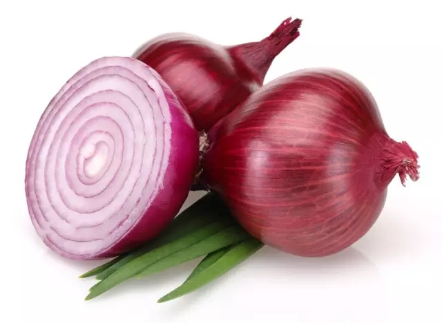 w6.webp.jpg