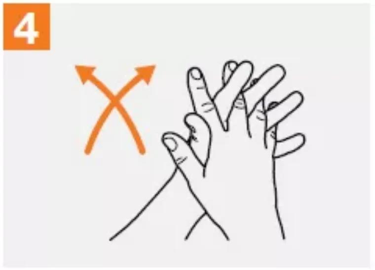 x4.jpg
