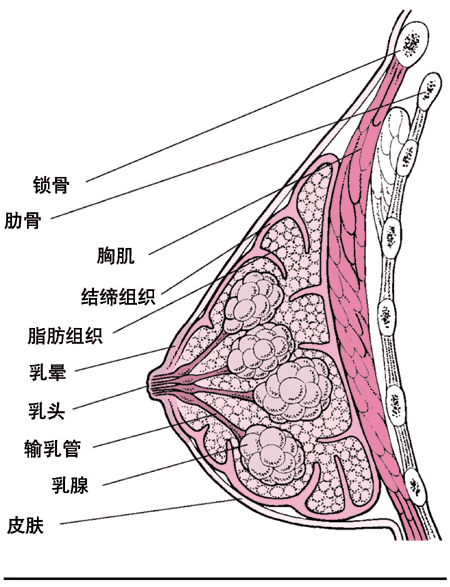 u=3652890527,3294090178&fm=26&gp=0.jpg